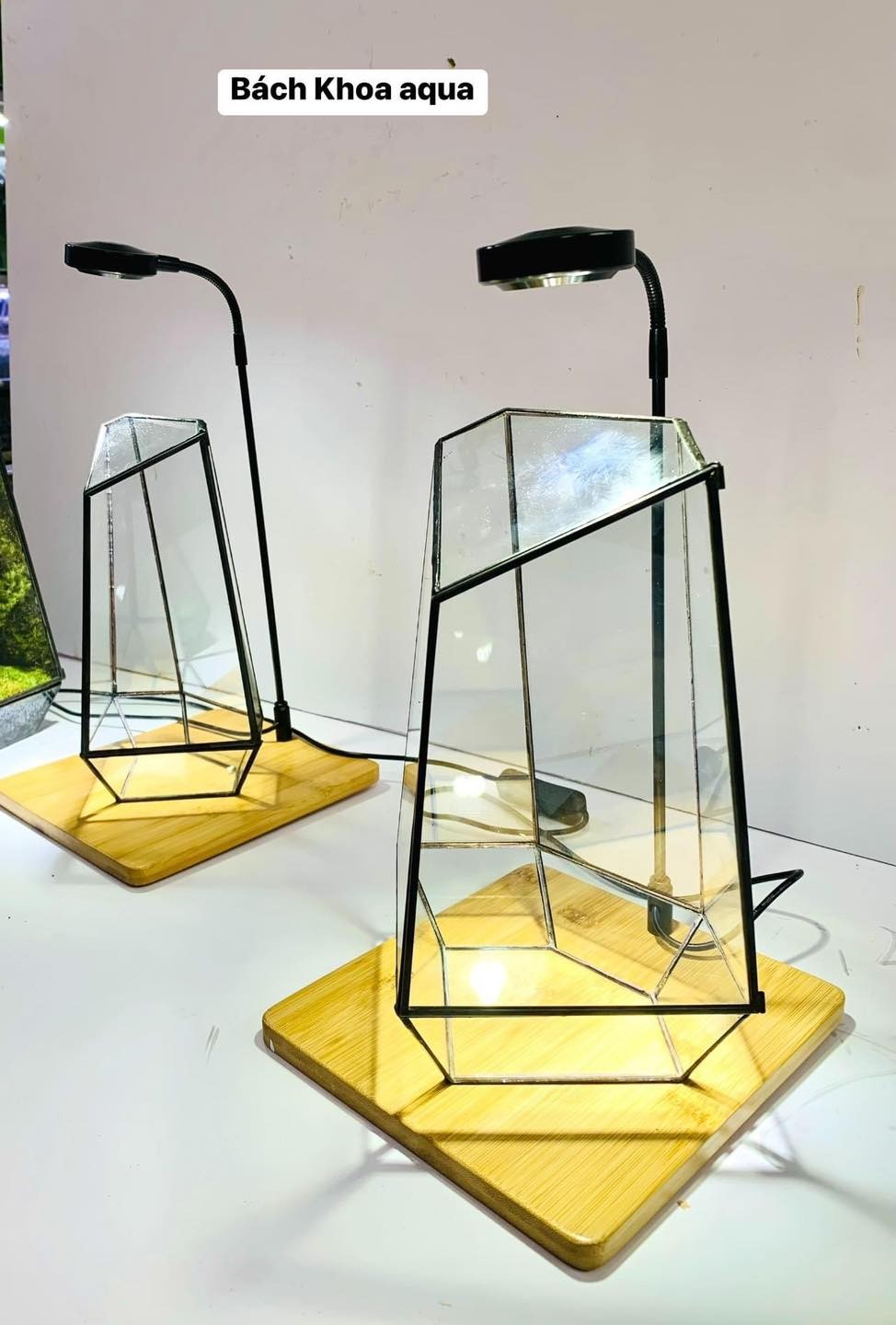 Bể kính đa giác Terrarium bán cạn
